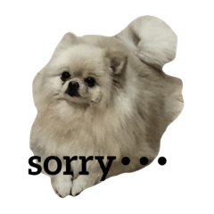 [LINEスタンプ] ぽんぽめ2