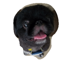 [LINEスタンプ] moko dog