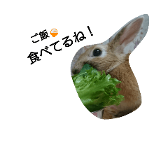 [LINEスタンプ] シータともふぃ