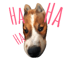 [LINEスタンプ] bangkaew dog