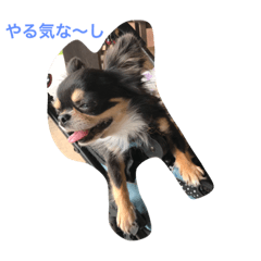 [LINEスタンプ] cyana