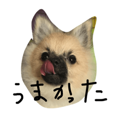 [LINEスタンプ] まめぴっぴ
