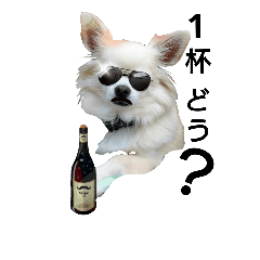 [LINEスタンプ] 動物たちが物申す。