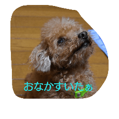 [LINEスタンプ] roco-raimu