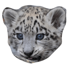 [LINEスタンプ] みんな大好き動物園