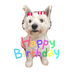 [LINEスタンプ] ウエスティの優くん