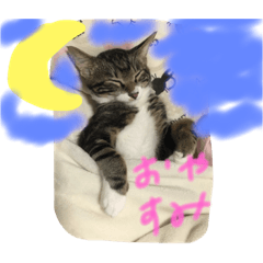 [LINEスタンプ] しみ
