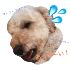 [LINEスタンプ] マロンの本音