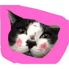 [LINEスタンプ] チョロりんこ