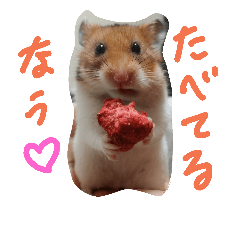 [LINEスタンプ] ハムスターのスナ