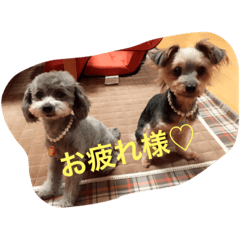 [LINEスタンプ] アトム＆イヴ