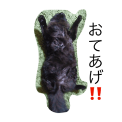 [LINEスタンプ] yuzuchil