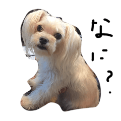 [LINEスタンプ] まめしゃん1