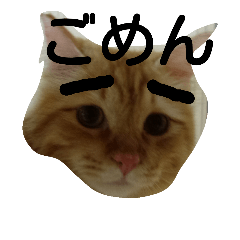 [LINEスタンプ] 臆病者のツンデレライくん