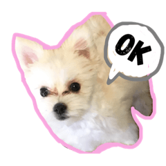 [LINEスタンプ] へいちゃんのスタンプ