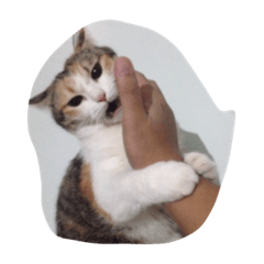 [LINEスタンプ] meemeethv2