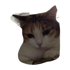 [LINEスタンプ] meemeeth