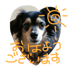 [LINEスタンプ] リリちゃんの日常