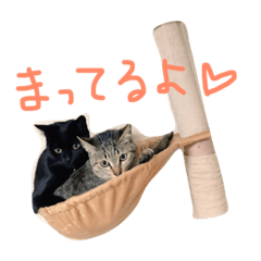 [LINEスタンプ] ぺぺマカ