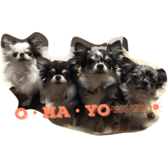 [LINEスタンプ] らぅたんとちわわーず