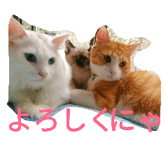 [LINEスタンプ] うにはるい