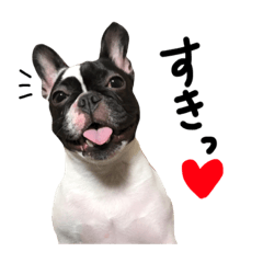 [LINEスタンプ] 鼻ぺちゃみる