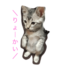 [LINEスタンプ] jijibibi2