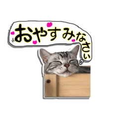 [LINEスタンプ] モモ スタンプ