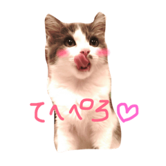 [LINEスタンプ] Yama_CAT