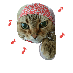 [LINEスタンプ] 僕……メジャー