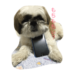 [LINEスタンプ] アホぼん