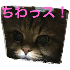[LINEスタンプ] gorornの画像（メイン）