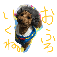 [LINEスタンプ] 愛犬華ちゃん