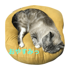 [LINEスタンプ] うりねぎさん パート2