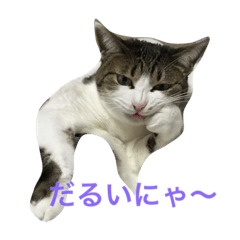 [LINEスタンプ] ととひめ0309