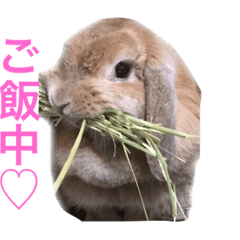 [LINEスタンプ] ミルキーの日常写真  part2