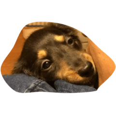 [LINEスタンプ] そんな目でみないで