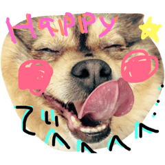 [LINEスタンプ] でへへへへ(パクちゃん)