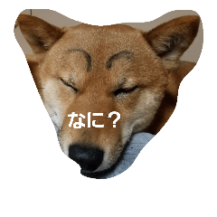 [LINEスタンプ] harushiba