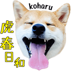 [LINEスタンプ] 虎春日和 壱の巻