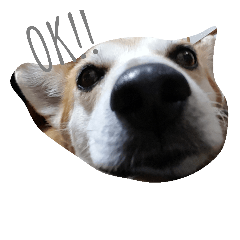 [LINEスタンプ] SHUUUUUUUUUUU2