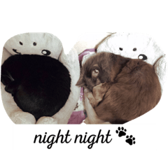 [LINEスタンプ] Puru and friends