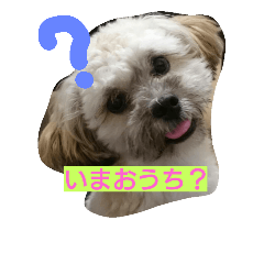 [LINEスタンプ] むぎくんスタンプ