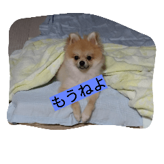 [LINEスタンプ] わんこ達