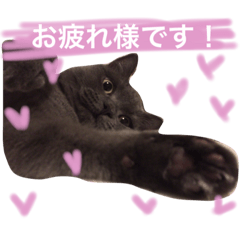 [LINEスタンプ] 可愛い息子たちシャンディーライチ文太
