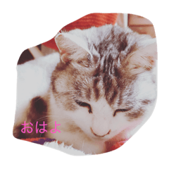 [LINEスタンプ] ちろっぴさん