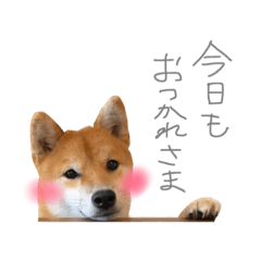 [LINEスタンプ] うちのこたちだけ02
