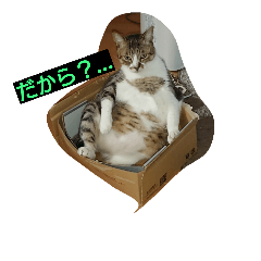 [LINEスタンプ] mipaupa