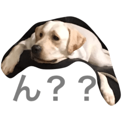 [LINEスタンプ] 暴君ラキオ