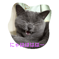[LINEスタンプ] クウたろ〰️‼️